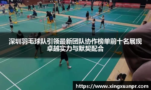 深圳羽毛球队引领最新团队协作榜单前十名展现卓越实力与默契配合